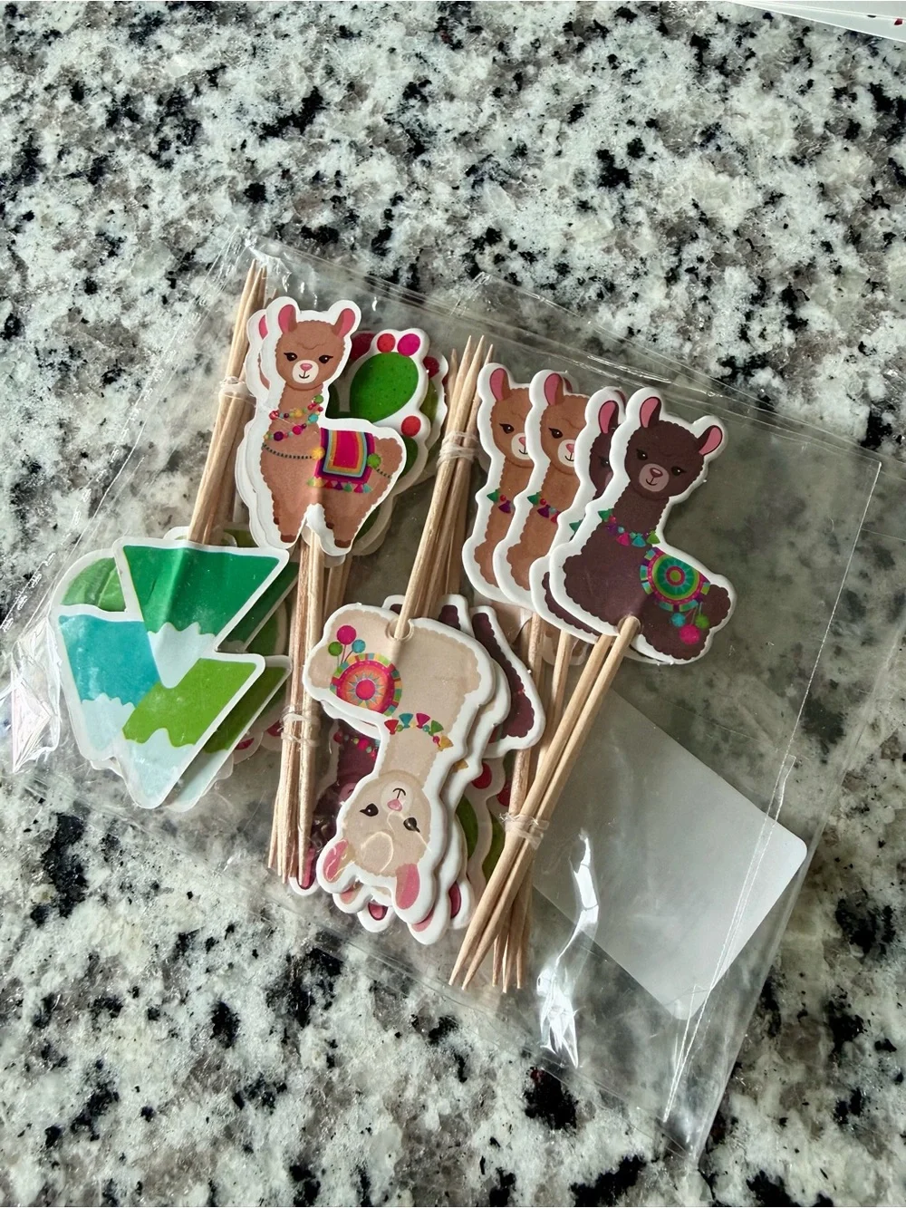 Llama party decorations